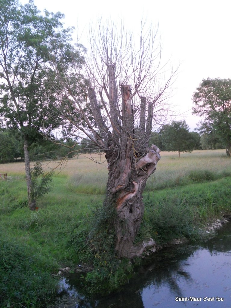 DSCN0712